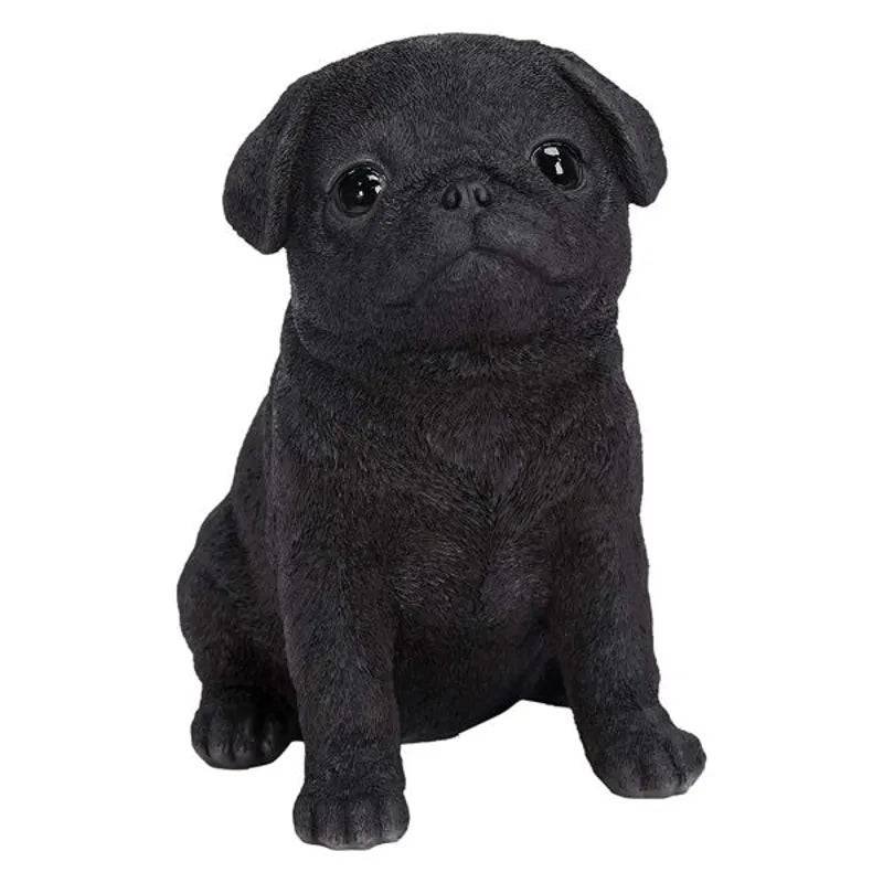 PP Black Pug Puppy F - Mill Race Garden Centre