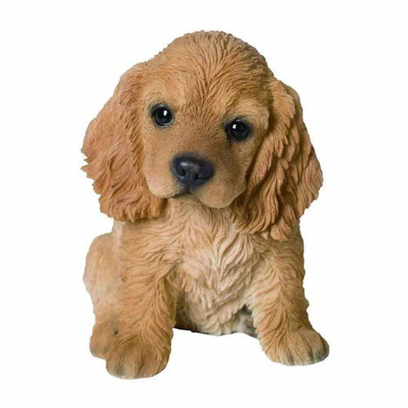 PP Golden Cocker Spaniel Pup F Box/4 - Mill Race Garden Centre