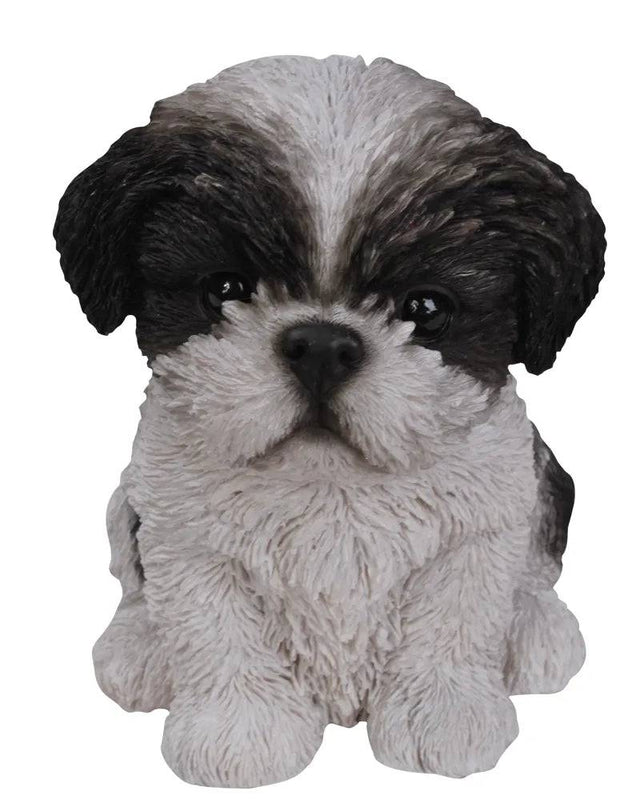 PP ShihTzu Puppy Blk & Wht - Mill Race Garden Centre