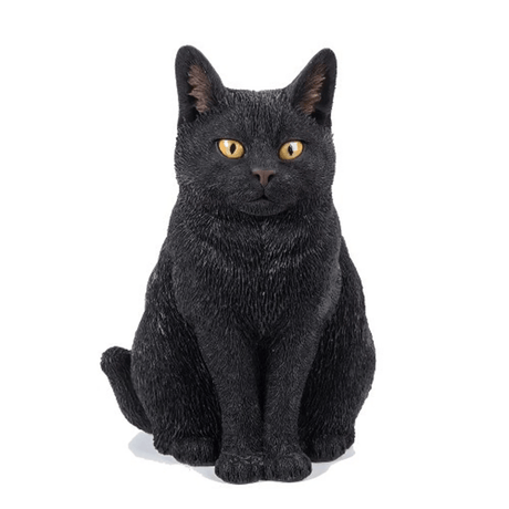 Real Life Black Sitting Cat Size B Resin Ornament by Vivid Arts - Mill Race Garden Centre