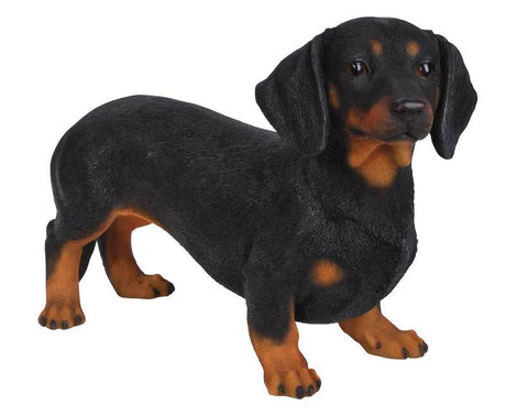 Realistic Dachshund resin ornament by Vivid Arts, detailed sculpture showcasing a lifelike dog figure in resin.