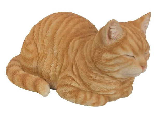 Real Life Dreaming Cat Ginger resin Ornament by Vivid Arts - Mill Race Garden Centre