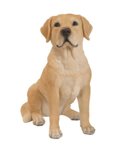 Real Life Golden Labrador Size B by Vivid Arts - Mill Race Garden Centre