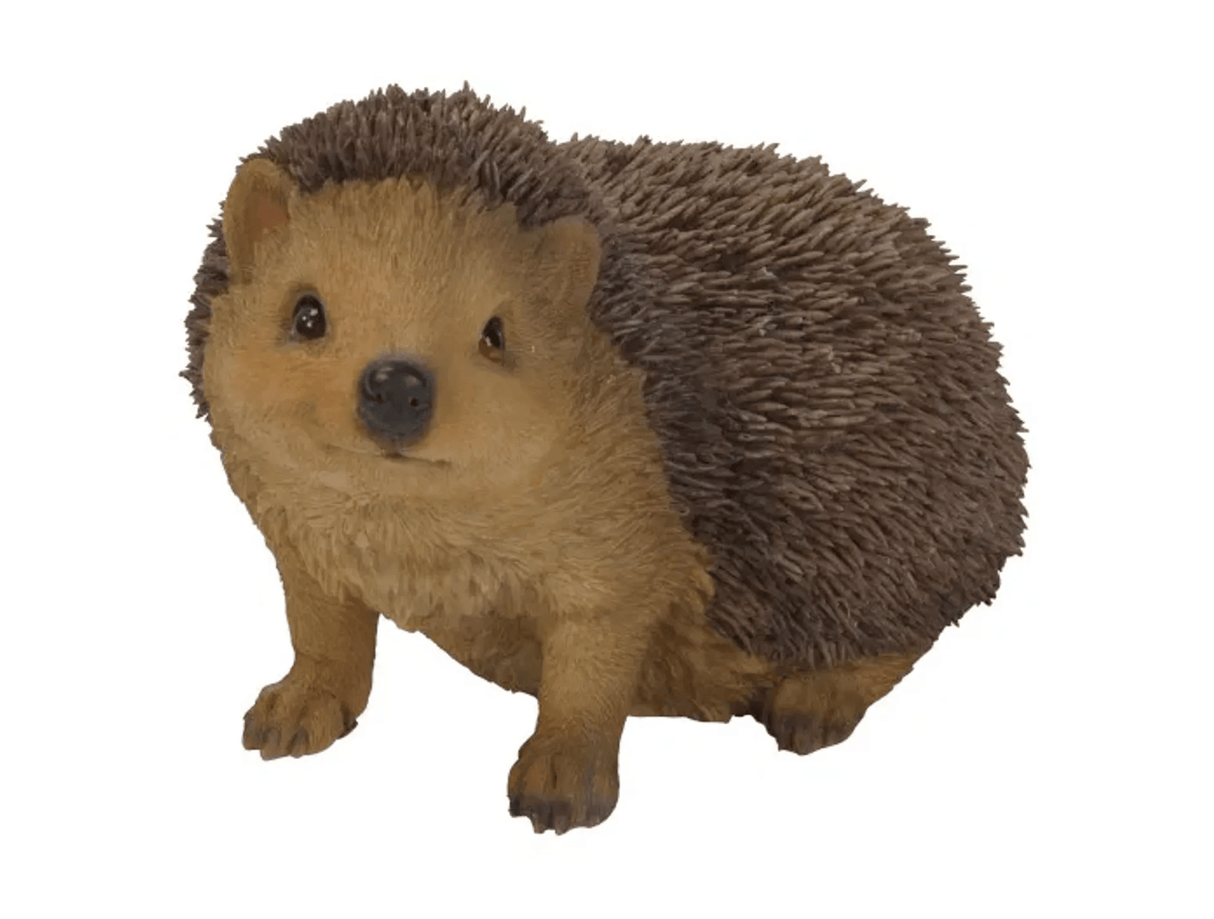 Real Life Laying Hedgehog Ornament Size D By Vivid Arts