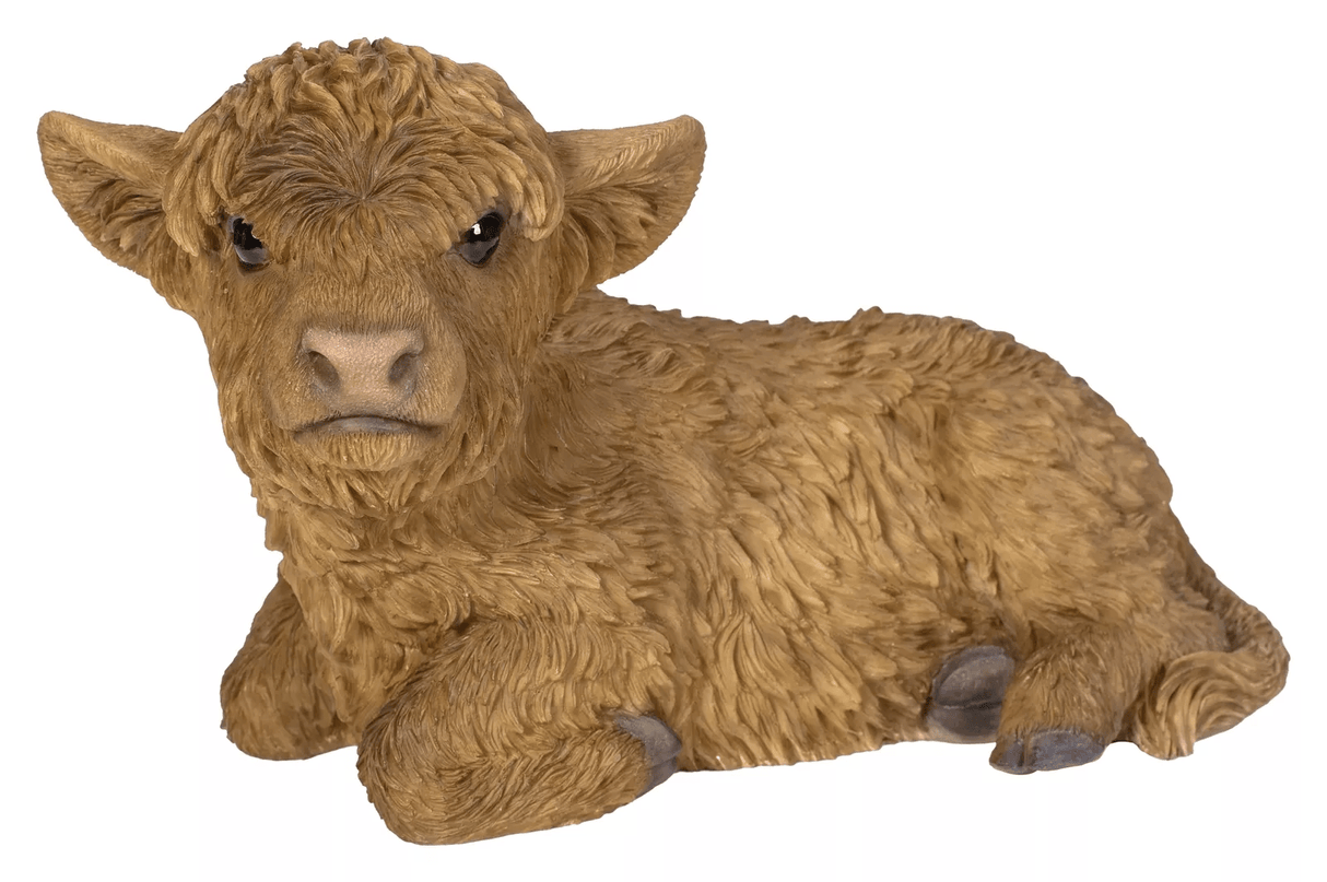 Real Life Laying Highland Calf Ornament Size D By Vivid Arts