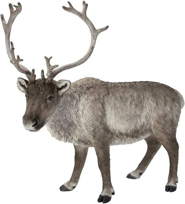 Real Life Reindeer Size C by Vivid Arts - Mill Race Garden Centre