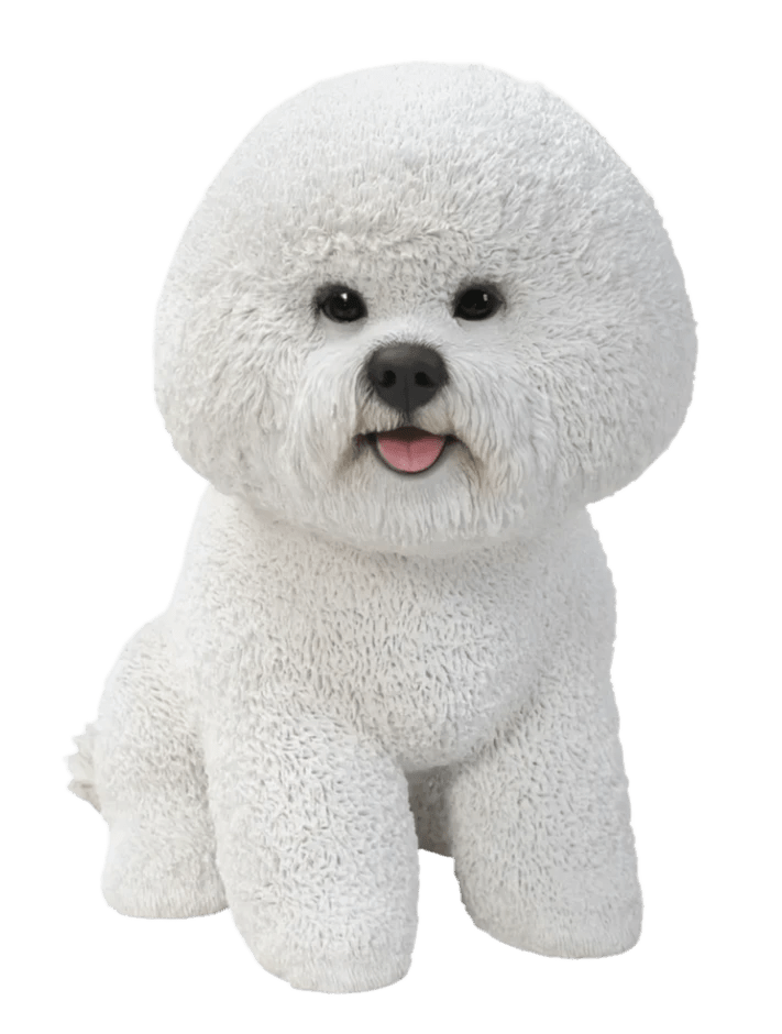 Life Expectancy Bichon Frise Breed Of Dogs 30 'Hypoallergenic