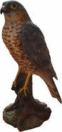 Real Life Sparrow Hawk Ornament Size D by Vivid Arts - Mill Race Garden Centre