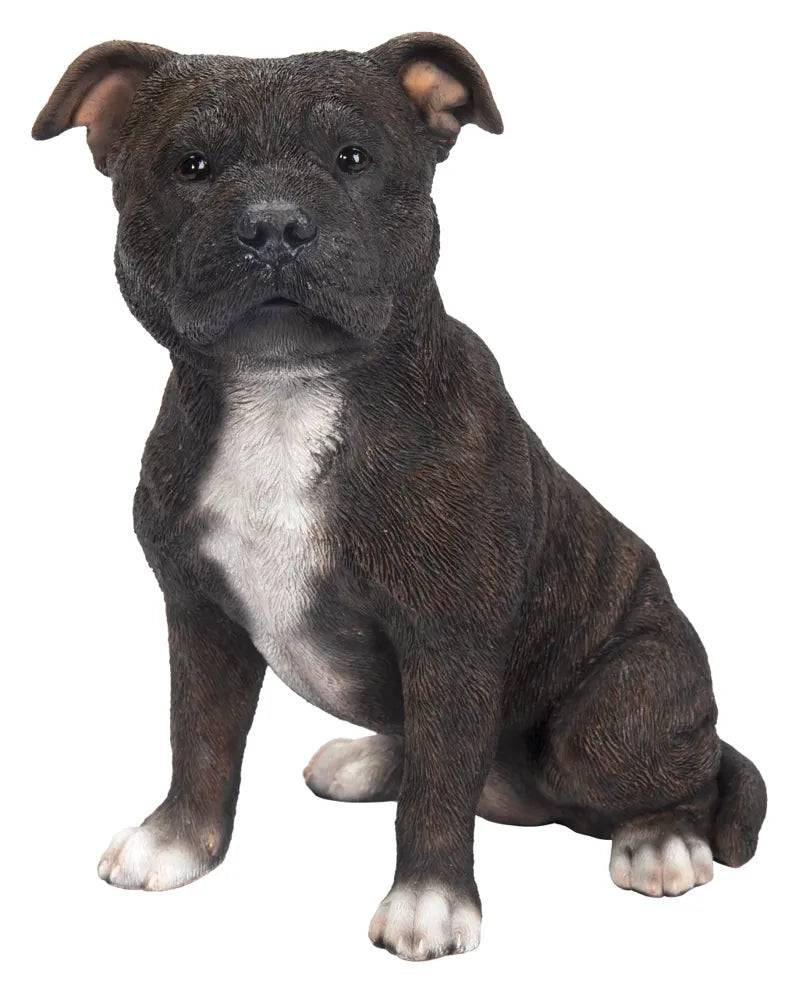 Real Life Staffordshire Terrier Brindle Ornament Size D by Vivid Arts - Mill Race Garden Centre