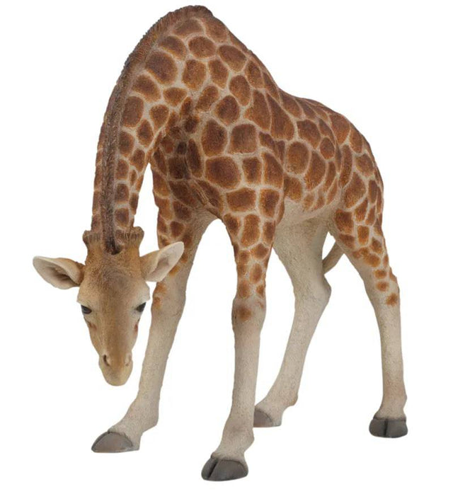 Real Life Stooping Giraffe Ornament Size A by Vivid Arts - Mill Race Garden Centre