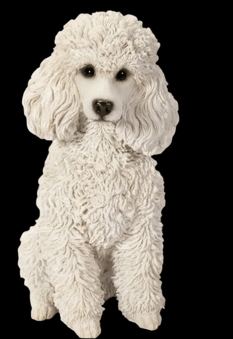 Real Life White Sitting Poodle Size D by Vivid Arts - Mill Race Garden Centre