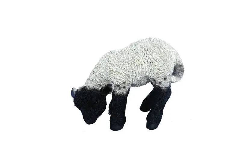 RL Black/White Lamb D - Mill Race Garden Centre