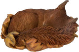 Sleeping red squirrel resin ornament by Vivid Arts, realistic outdoor home decoration featuring a cute baby squirrel.