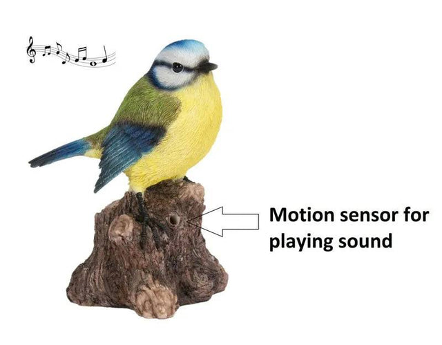 Singing Blue Tit on Stump F - Mill Race Garden Centre