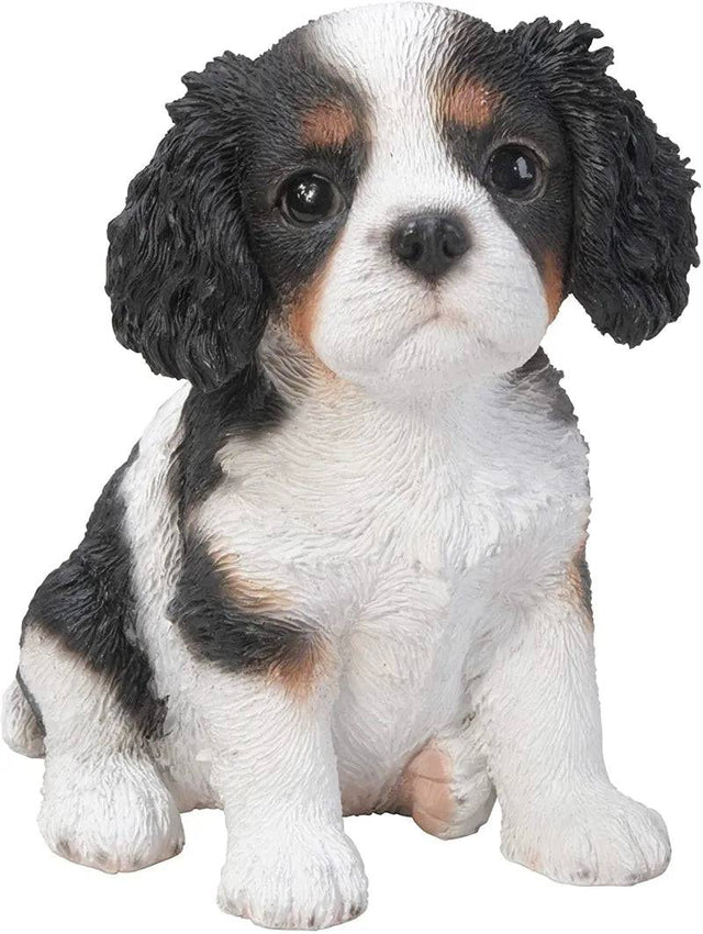 T/C King Charles Puppy F Box/4 - Mill Race Garden Centre