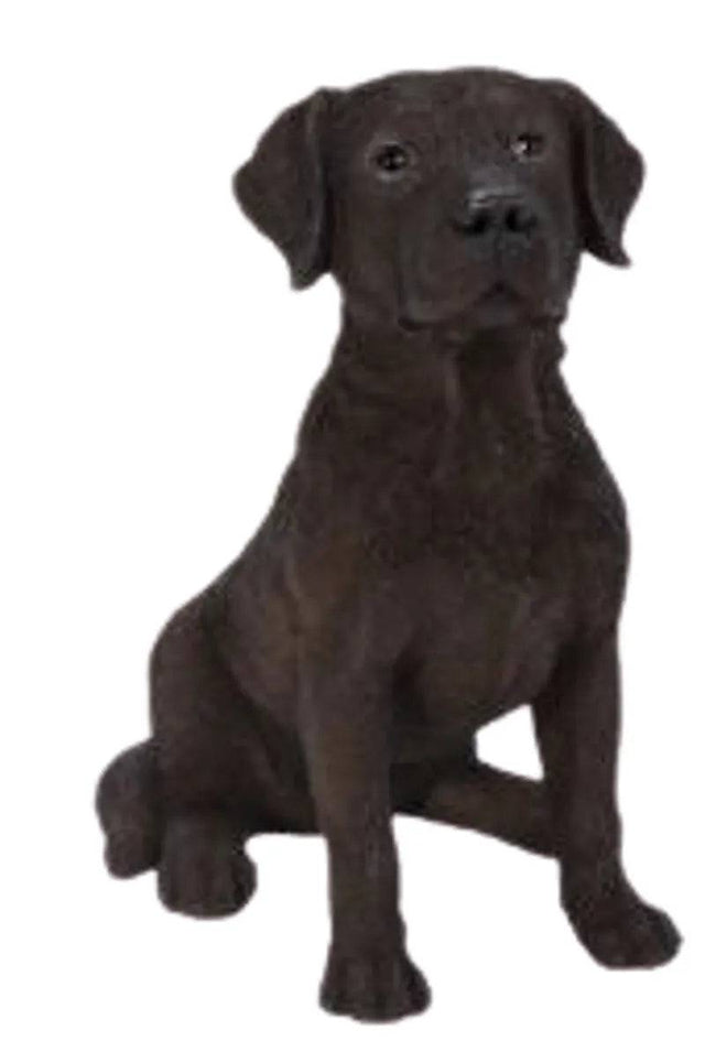 Vivid Arts Real Life Chocolate Labrador Ornament Size D - Mill Race Garden Centre