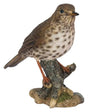 WBC Song Thrush Size D Resin Ornament by Vivid Arts - Mill Race Garden Centre