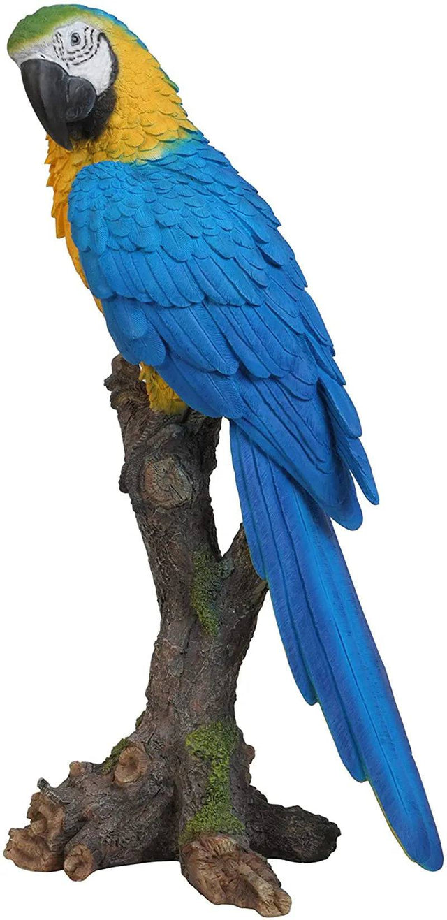 Yellow Macaw Perched Ornament Size B by Vivid Arts - Mill Race Garden Centre