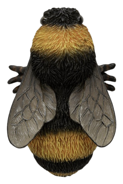 Decorative wall-mounted bee ornament made of resin by Vivid Arts, featuring a detailed and realistic bee design.