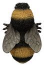 Decorative wall-mounted bee ornament made of resin by Vivid Arts, featuring a detailed and realistic bee design.