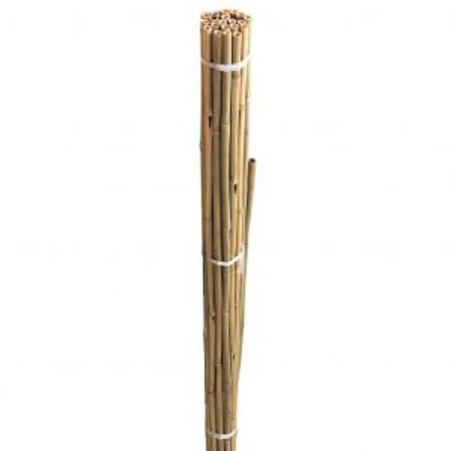 Bamboo Canes Bulk Bundle 90cm 20pk - Mill Race Garden Centre