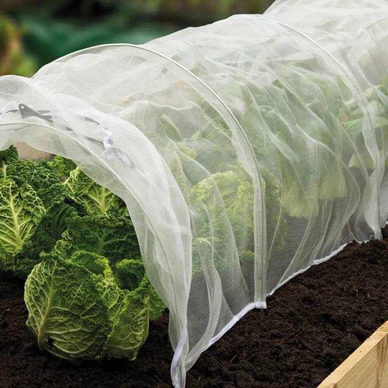 Insect Protection Mesh 2m Wide Per M | Mill Race Garden Centre