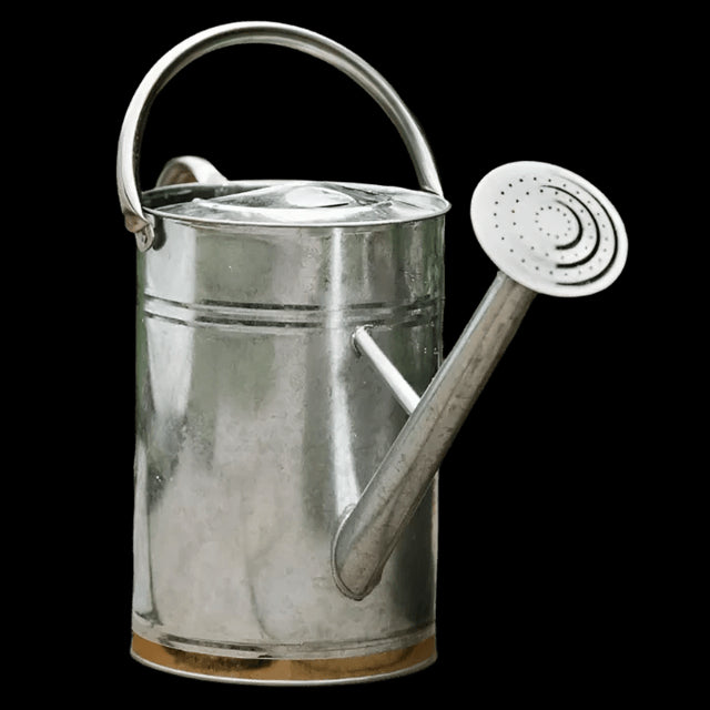 KS Metal Watering Can Galv Steel 9ltr - Mill Race Garden Centre