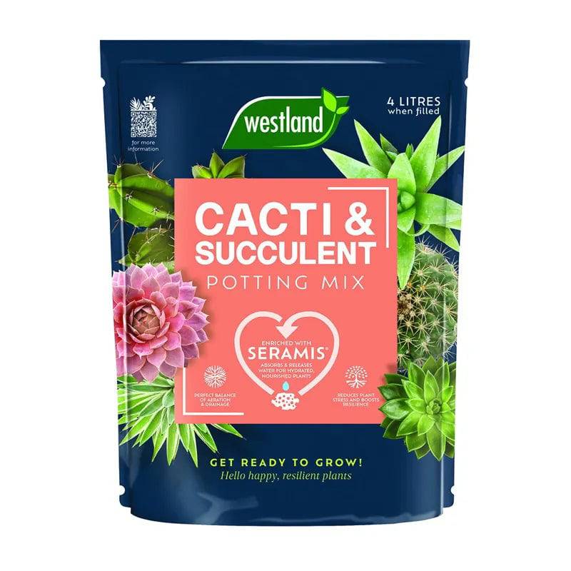 Westland Cacti & Succulent Potting Mix Peat Free 4L - Mill Race Garden Centre