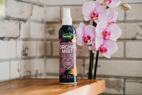 Westland Orchid Mist 250ml - Mill Race Garden Centre