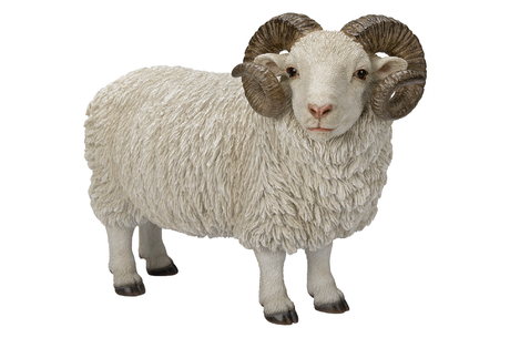 Ram with Horns Real Life Resin Ornament By Vivid Arts - Mill Race Garden Centre