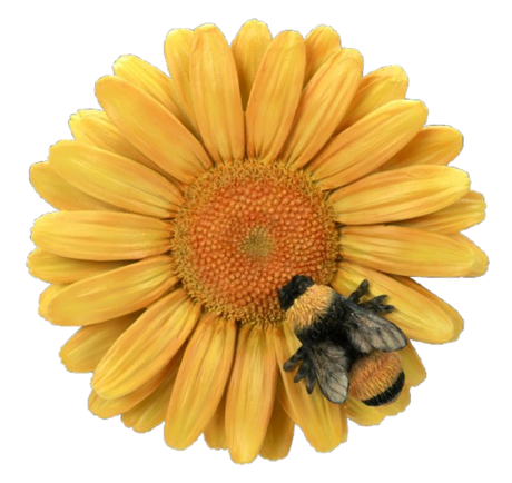 Yellow resin hanging daisy wall ornament with a bee, by Vivid Arts, featuring a detailed yellow daisy flower and bee design.
