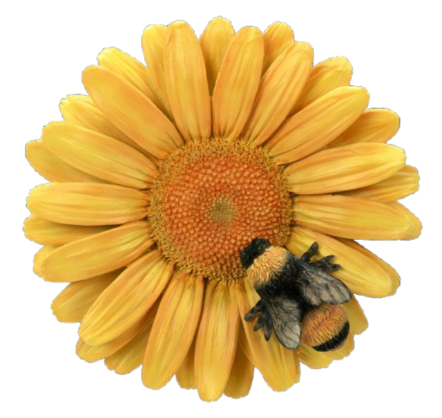 Yellow resin hanging daisy wall ornament with a bee, by Vivid Arts, featuring a detailed yellow daisy flower and bee design.